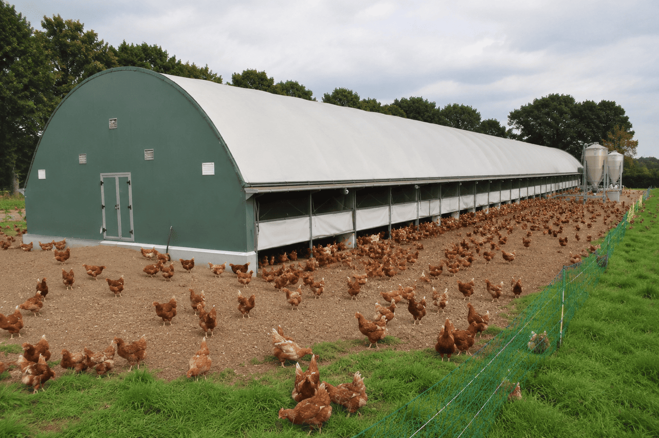 Geflügelfarm